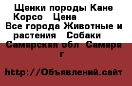 Щенки породы Кане-Корсо › Цена ­ 25 000 - Все города Животные и растения » Собаки   . Самарская обл.,Самара г.
